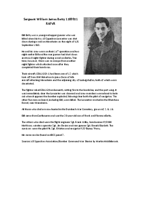 A preview of a PDF biography for Batty, William James